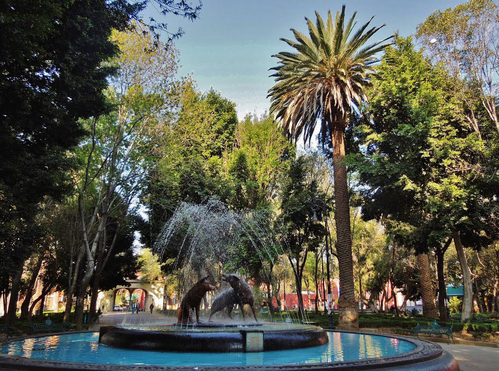 Jardín Centenario Vivir en Coyoacan