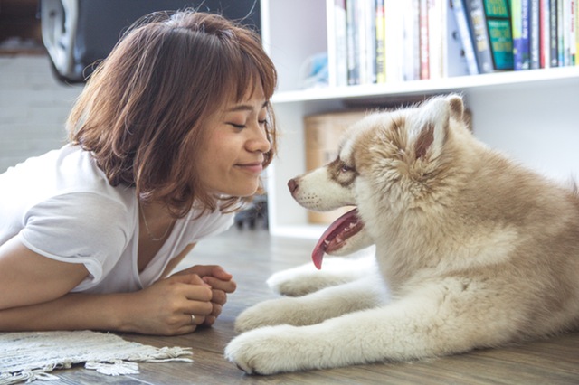  Día Mundial de los Animales